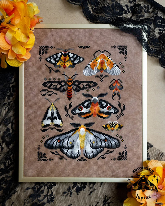 Ochre Wings Pattern