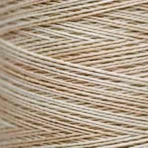 Pearl Cotton 5 – 1106 Beige