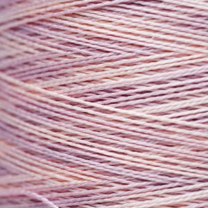 Pearl Cotton 5 – 1139 Chablis