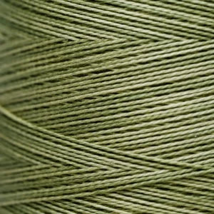 Pearl Cotton 5 – 1193 Guacamole