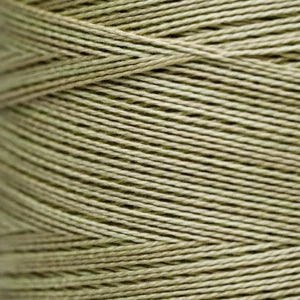 Pearl Cotton 5 – 1194 Broom Tree