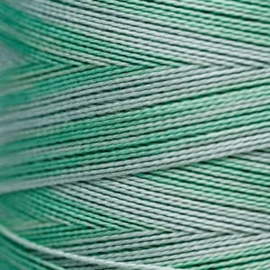 Pearl Cotton 5 – 2181 Cactus