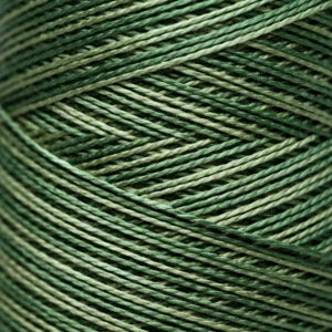 Pearl Cotton 5 – 2198 Ivy