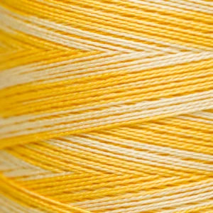 Pearl Cotton 5 – 2218 Sally’s Sunshine