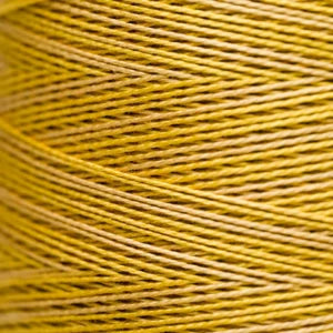 Pearl Cotton 5 – 2220 Curry