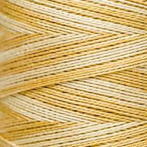 Pearl Cotton 5 – 2221 Gold