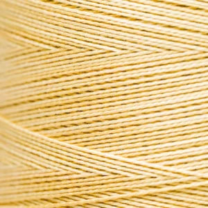 Pearl Cotton 5 – 2221a Yukon Gold