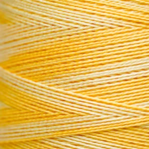 Pearl Cotton 5 – 2223 Saffron