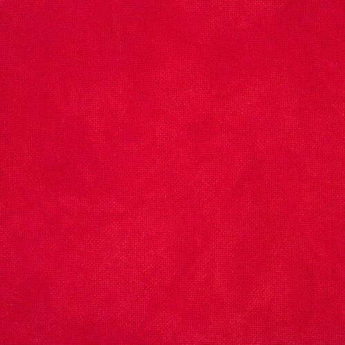 Picture This Plus Fabric Phoenix