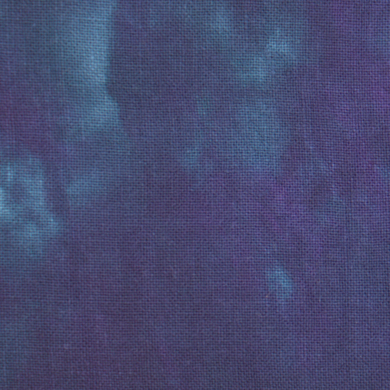 Picture This Plus Fabric Phantom