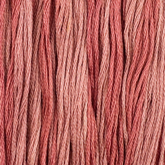 Petticoat (Limited Edition)