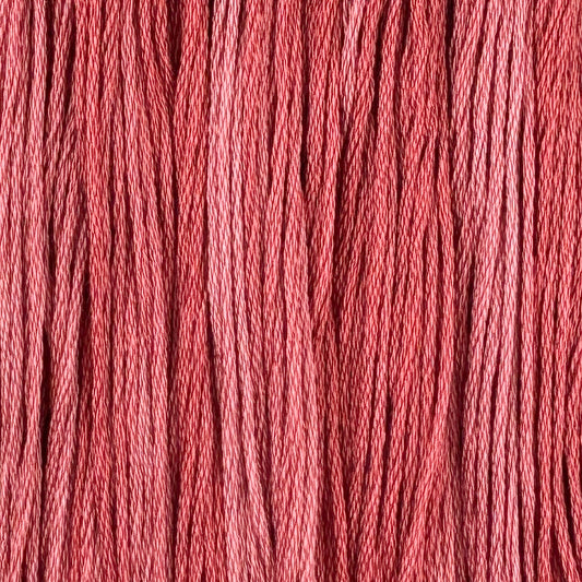 Pomelo (Limited Edition)