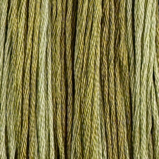Prairie Medium