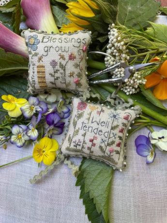 Blessings Grow Kit