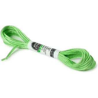 Soie d'Alger 232 Vert Fin