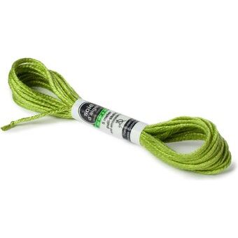 Soie d'Alger 244 Vert Pre