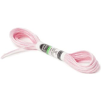 Soie d'Alger 3021 Lie de Vin