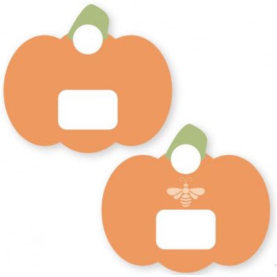 Pumpkin Floss Drops