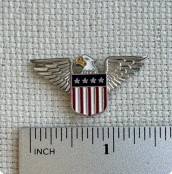 USA Eagle Enamel Needle Minder