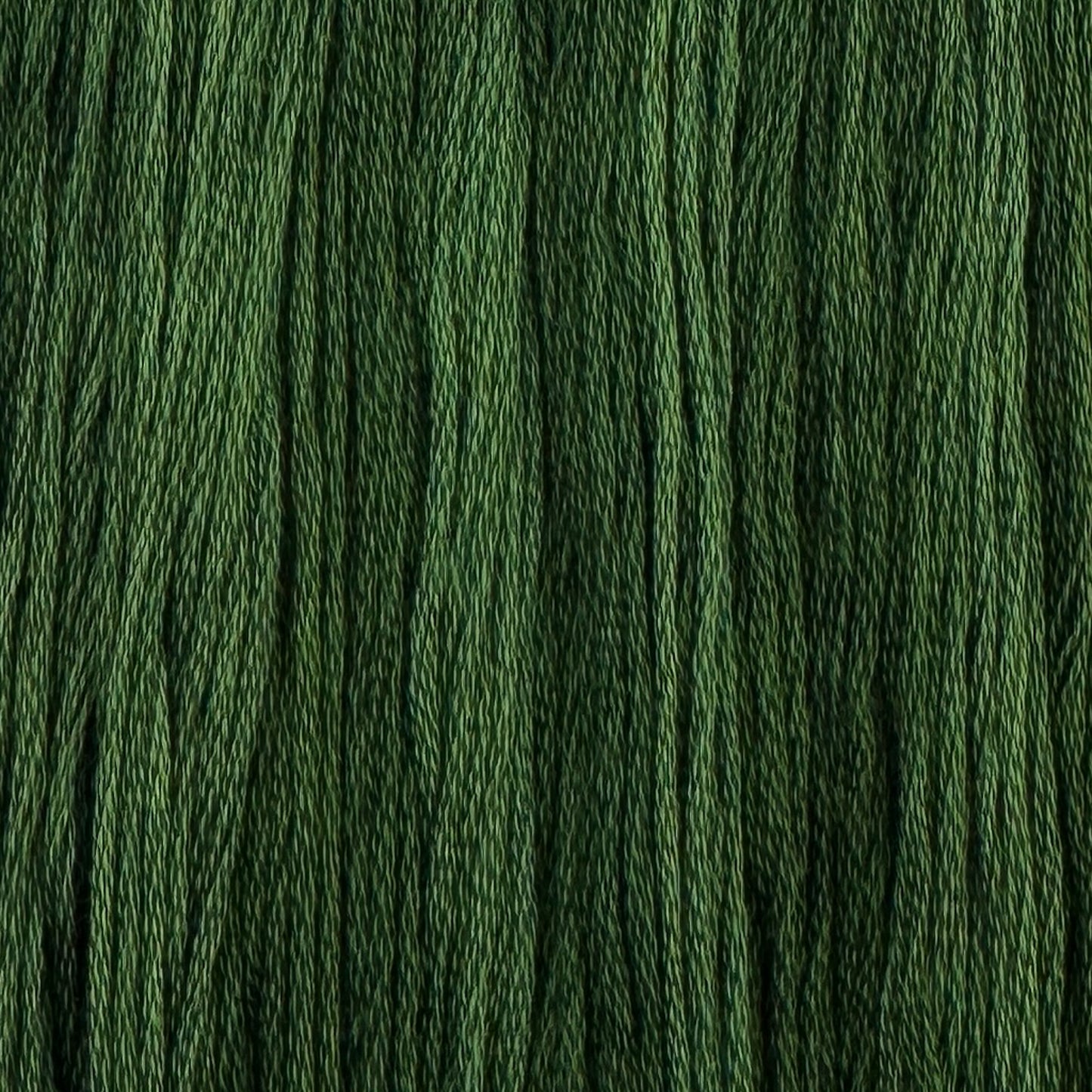 Shamrock