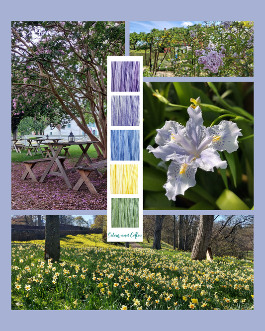 Thread Collection Spring Flowers