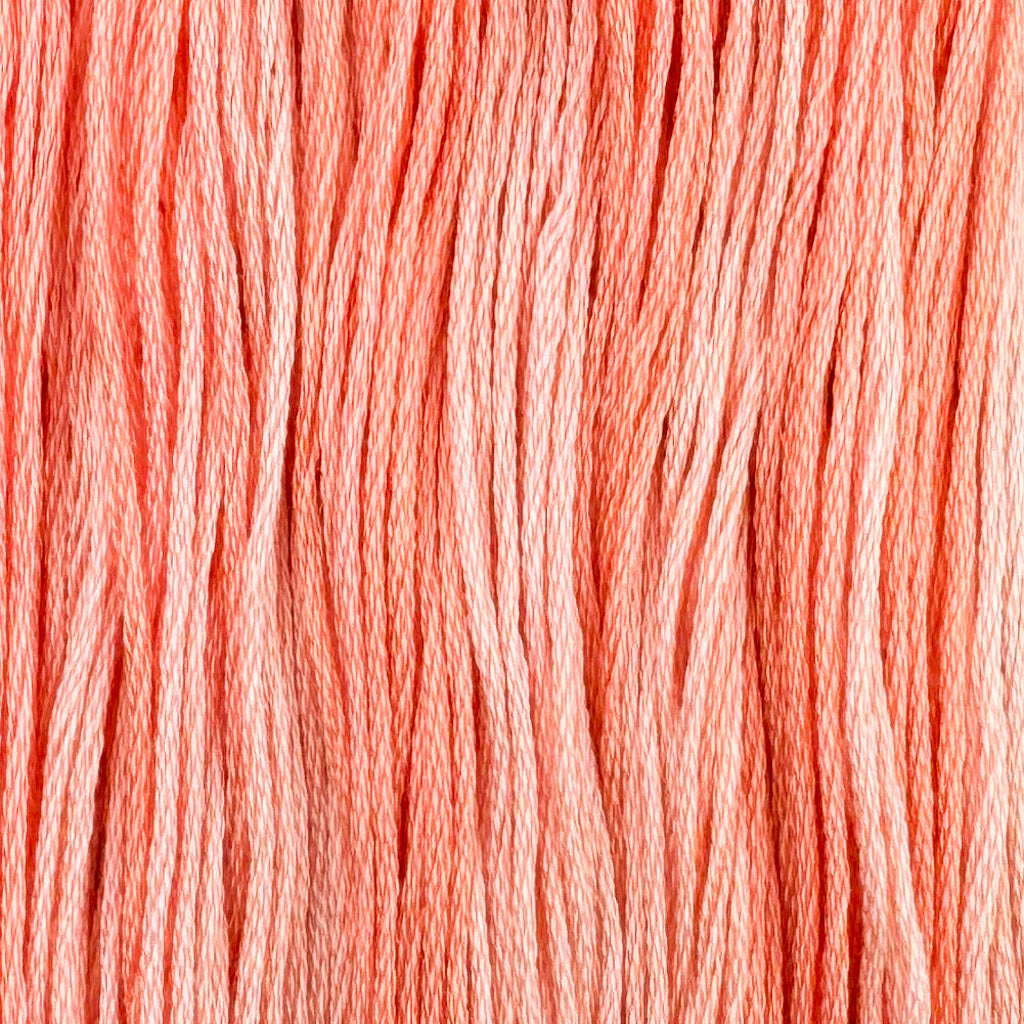 Starburst