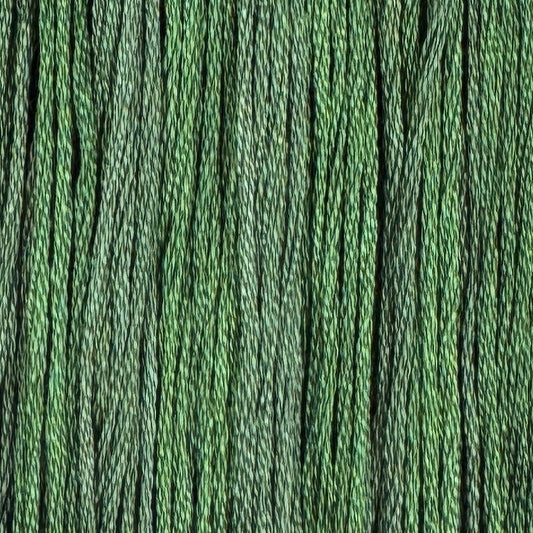 Summer Pine (Limited Edition)