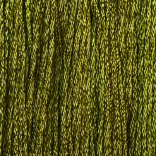 Summerwood (Limited Edition)