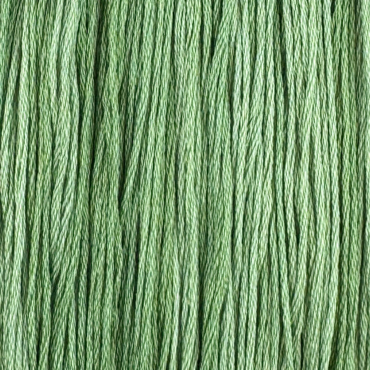 Tortuga (Limited Edition)