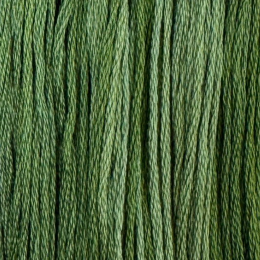 Twisted Ivy (Limited Edition)
