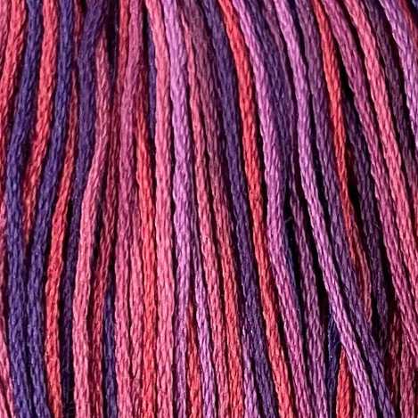 V16 Violette di Parma
