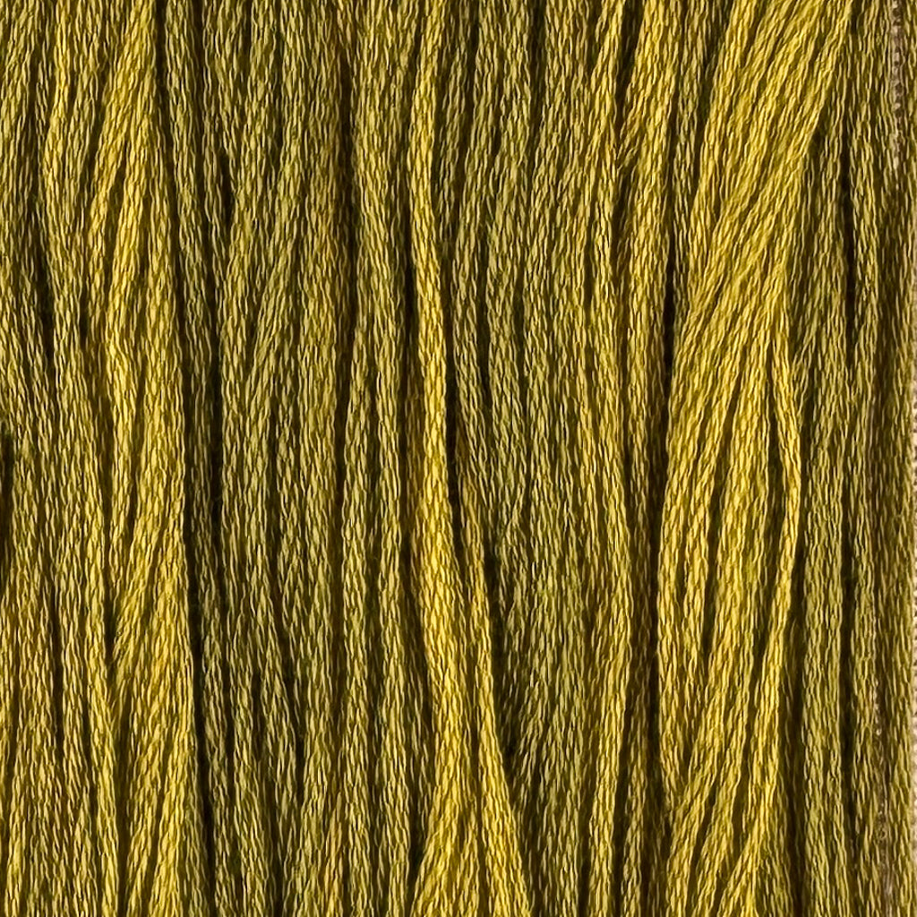 Warbler (Limited Edition)