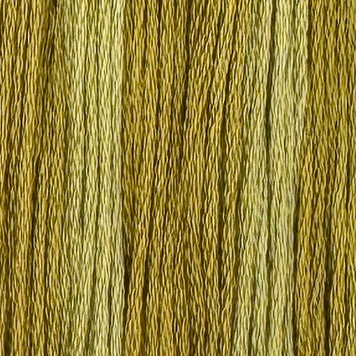 Wetland (Limited Edition)