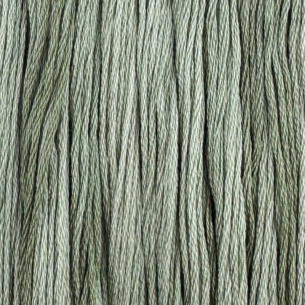 Winter Vale (Limited Edition)