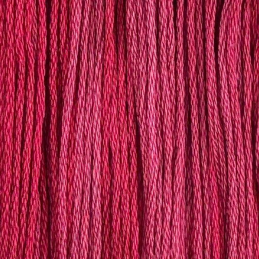 Winterberry