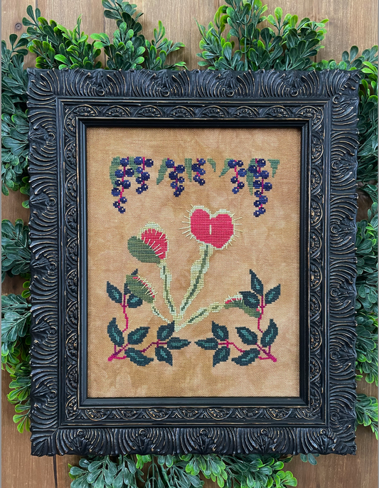Botanical Study No. 2 - Venus Fly Trap Pattern