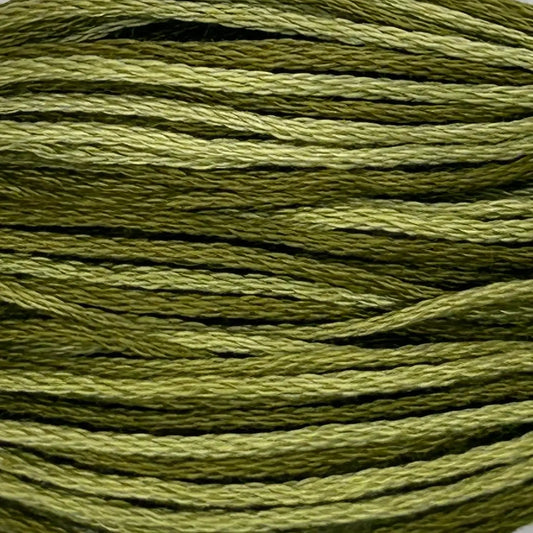 GR49 Olive Green