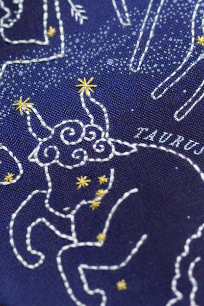 Star Map 11" Hoop Kit