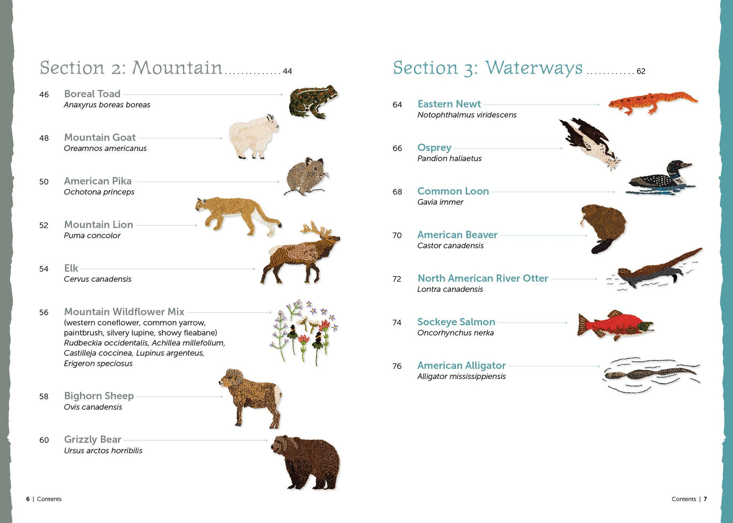 The Field Guide to Embroidery