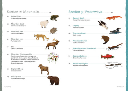 The Field Guide to Embroidery