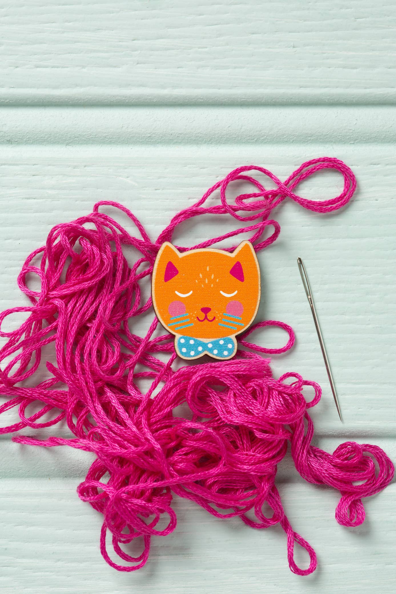 Cat Magnetic Needle Minder