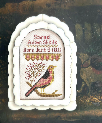 Birth Samplers Pattern