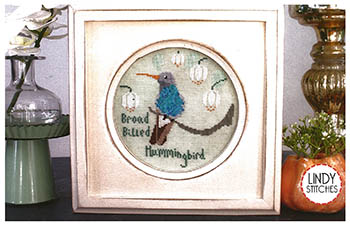 Broad Billed Hummingbird Pattern