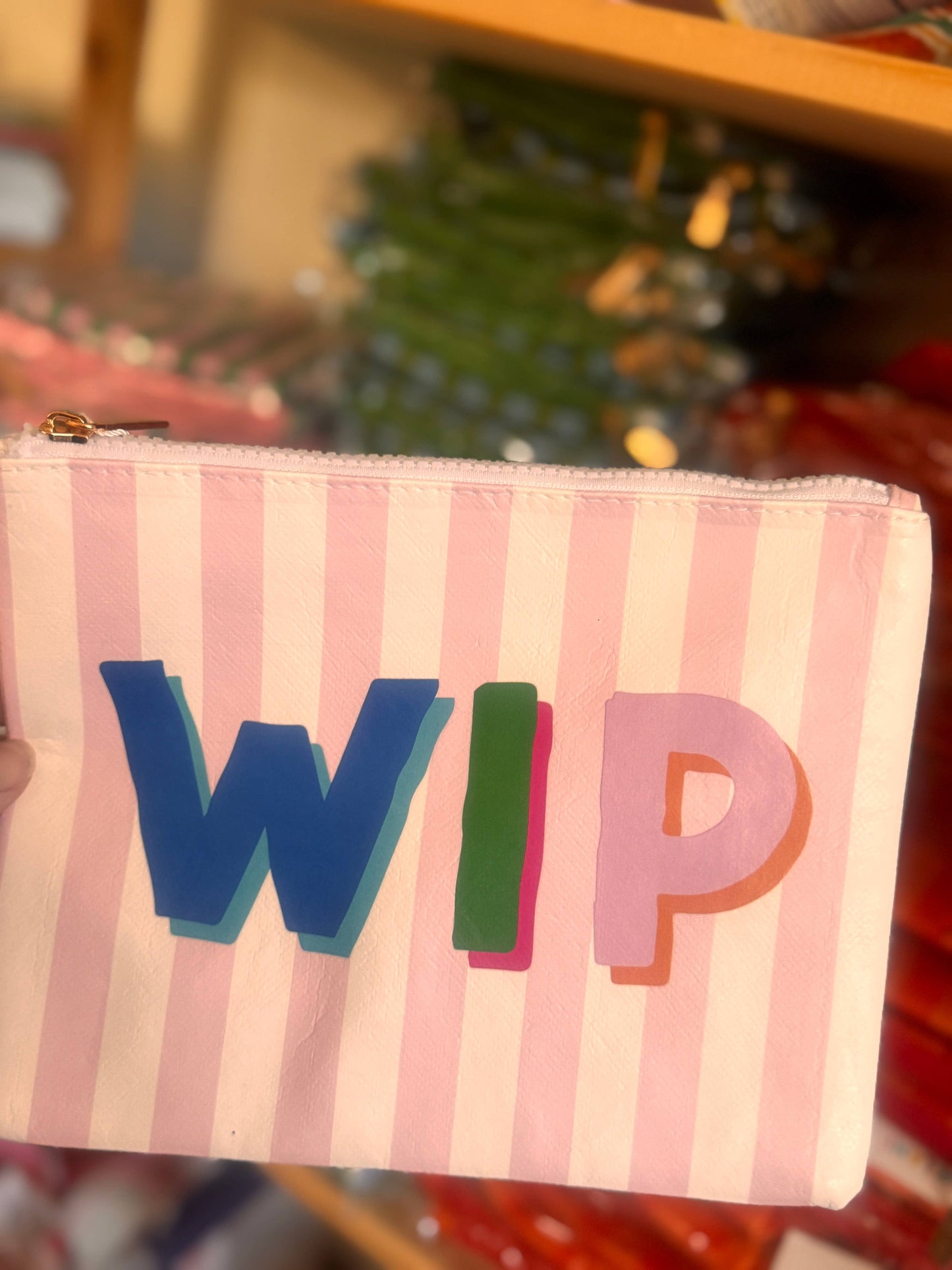 WIP Tyvek Zip Notions Bag