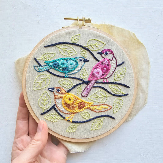 Colorful Birds Beginner Embroidery Kit