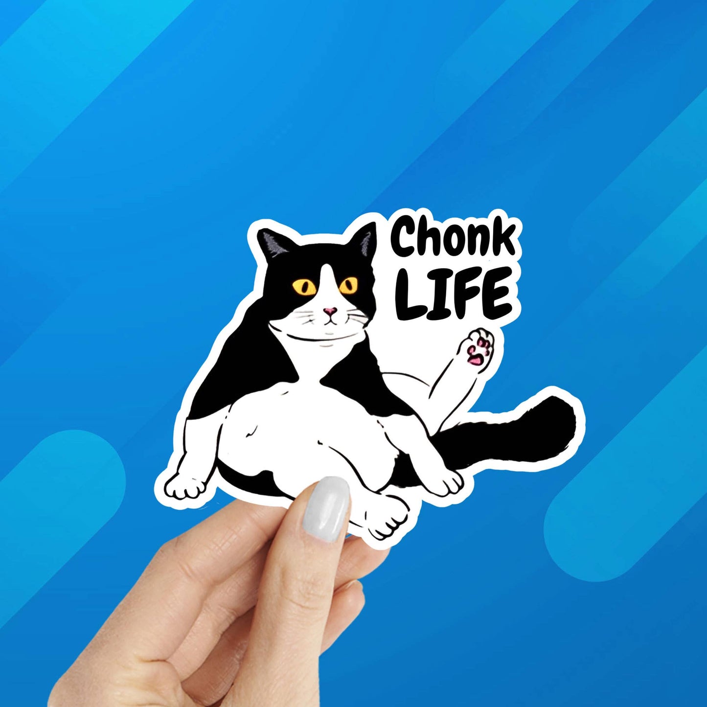 Chonk Life Fat Black Cat Laptop Water Bottle Sticker