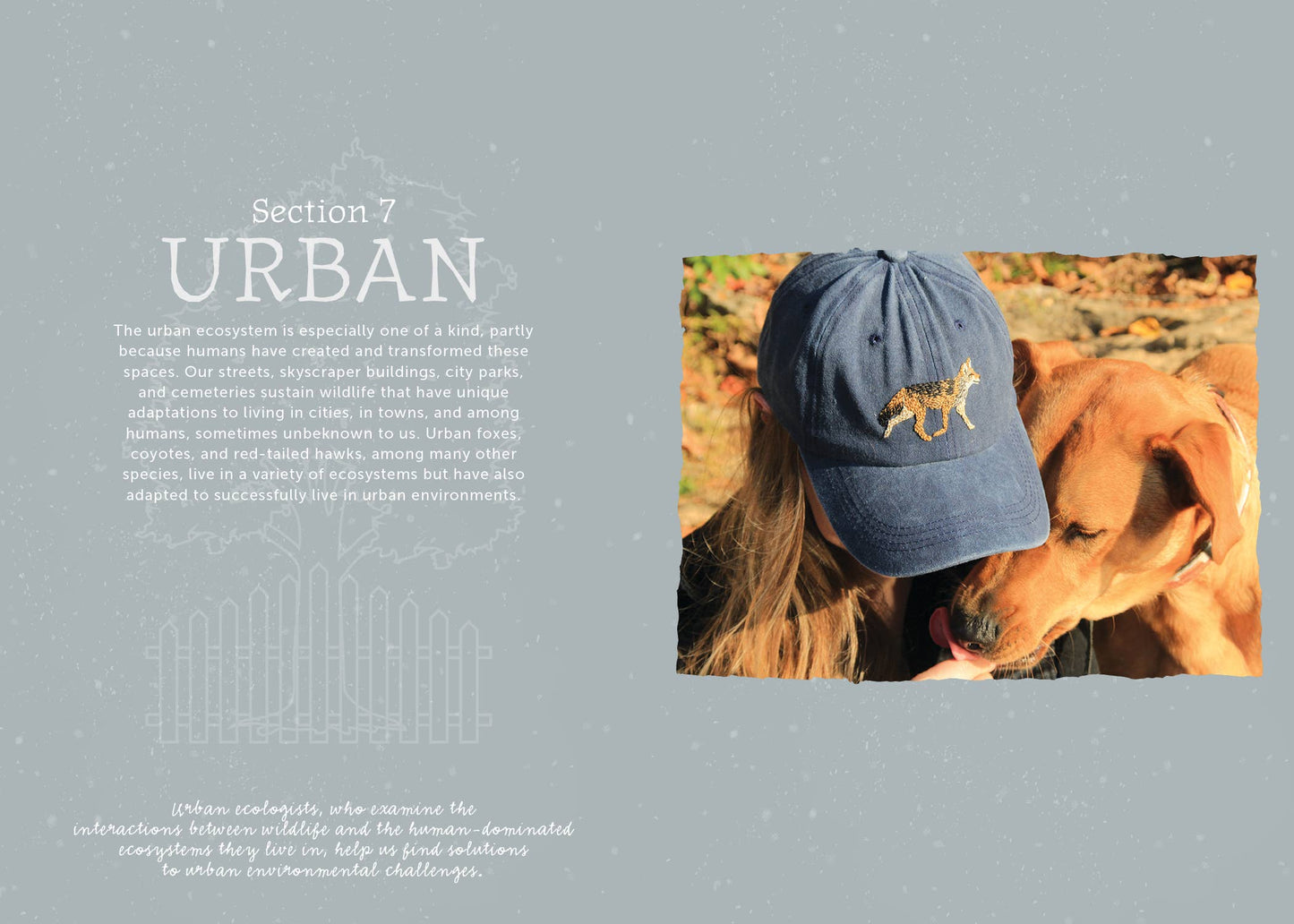 The Field Guide to Embroidery