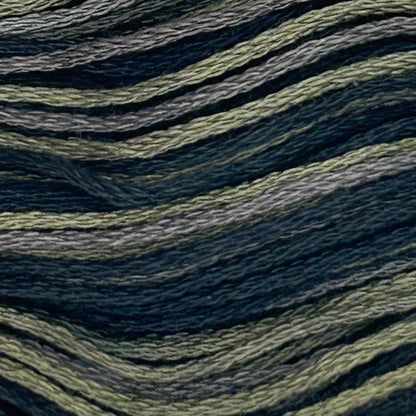 BG17 Black Walnut