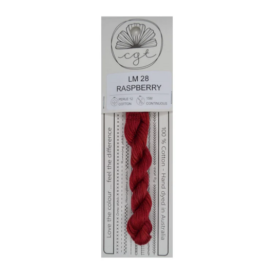 LM28 Raspberry