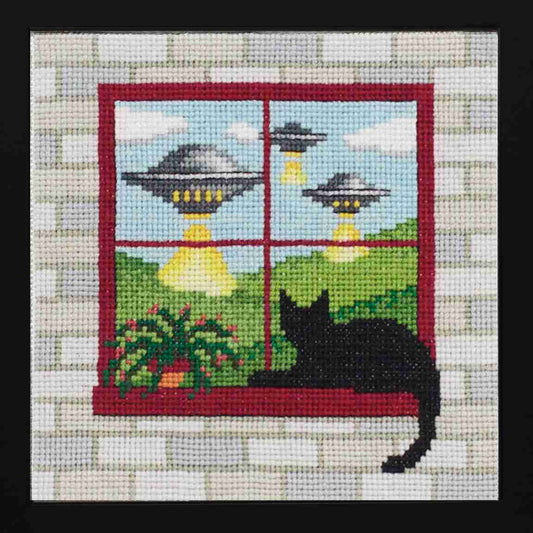 What the Cat Saw: Close Encounters